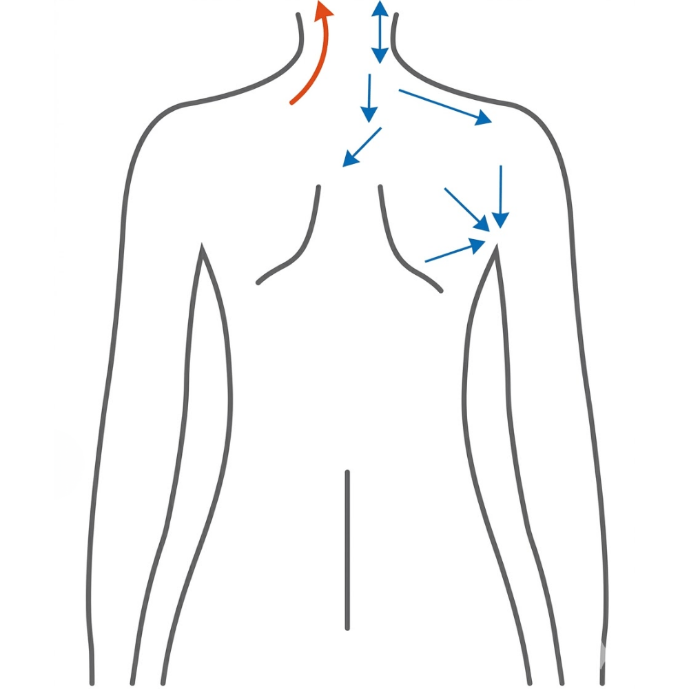 recuperación muscular